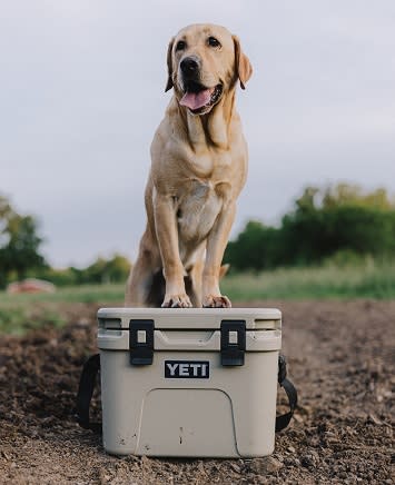 YETI COOLERS, DRINKWARE AND MORE