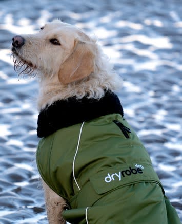 Barbour Dog Accessories