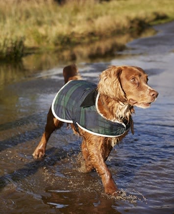 Barbour Dog Accessories